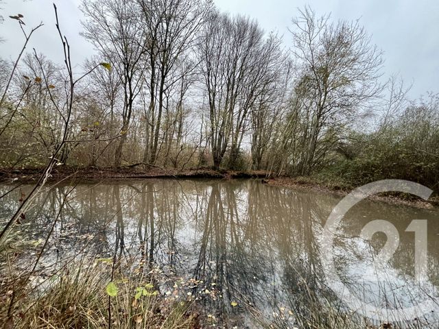 Terrain &agrave; vendre - 420000 m2 - Orbec - 14 - BASSE-NORMANDIE