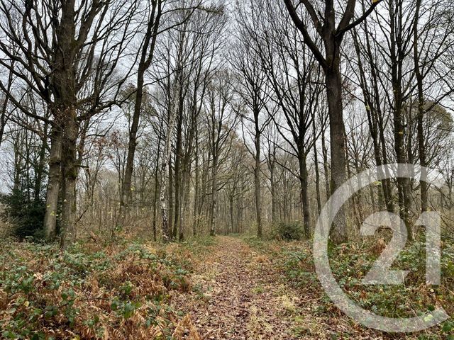 terrain - ORBEC - 14