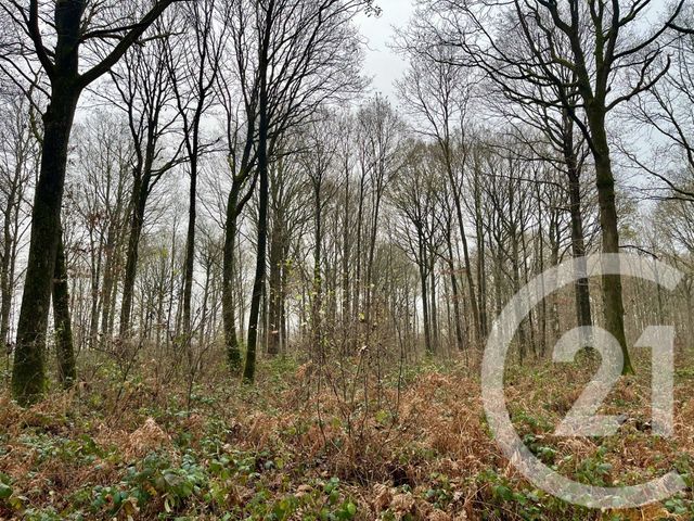 Terrain &agrave; vendre - 420000 m2 - Orbec - 14 - BASSE-NORMANDIE