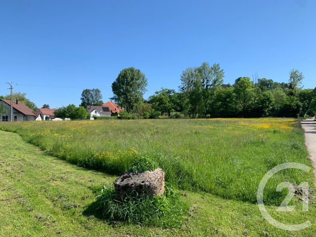 terrain - MONTROND LE CHATEAU - 25