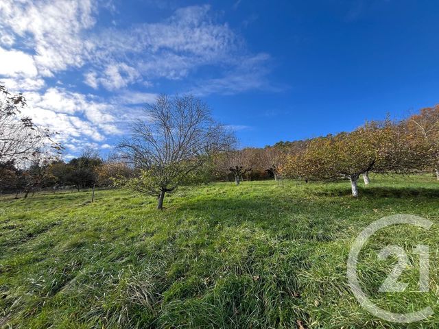 Maison à louer - 5 pièces - 104 m2 - Besancon - 25 - FRANCHE-COMTE