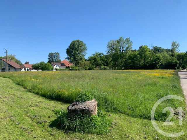 terrain - MONTROND LE CHATEAU - 25