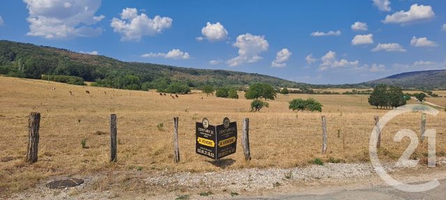 terrain - LIESLE - 25