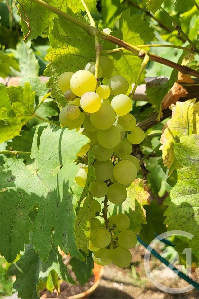 Maison &agrave; vendre - 7 pi&egrave;ces - 208,21 m2 - Ballancourt Sur Essonne - 91 - ILE-DE-FRANCE