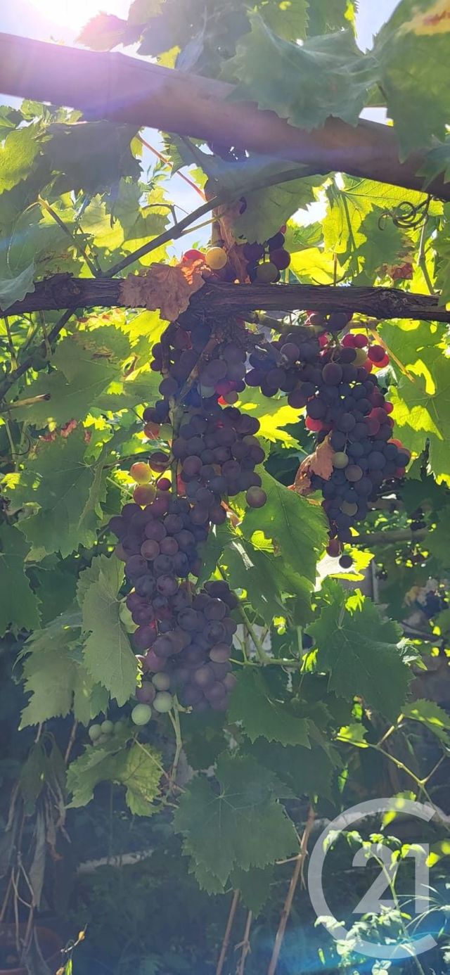 Maison &agrave; vendre - 7 pi&egrave;ces - 208,21 m2 - Ballancourt Sur Essonne - 91 - ILE-DE-FRANCE