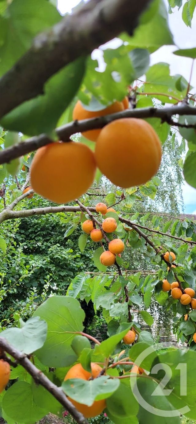 Maison &agrave; vendre - 7 pi&egrave;ces - 208,21 m2 - Ballancourt Sur Essonne - 91 - ILE-DE-FRANCE