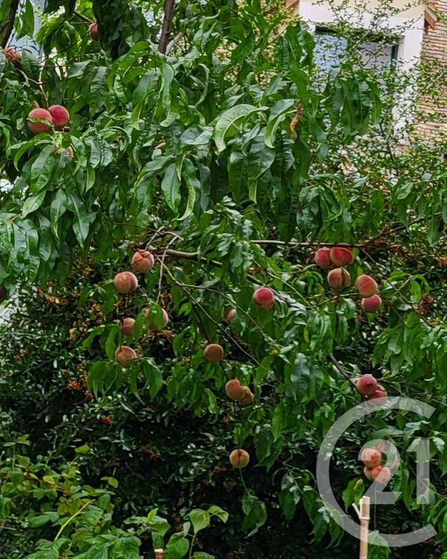 Maison &agrave; vendre - 7 pi&egrave;ces - 208,21 m2 - Ballancourt Sur Essonne - 91 - ILE-DE-FRANCE