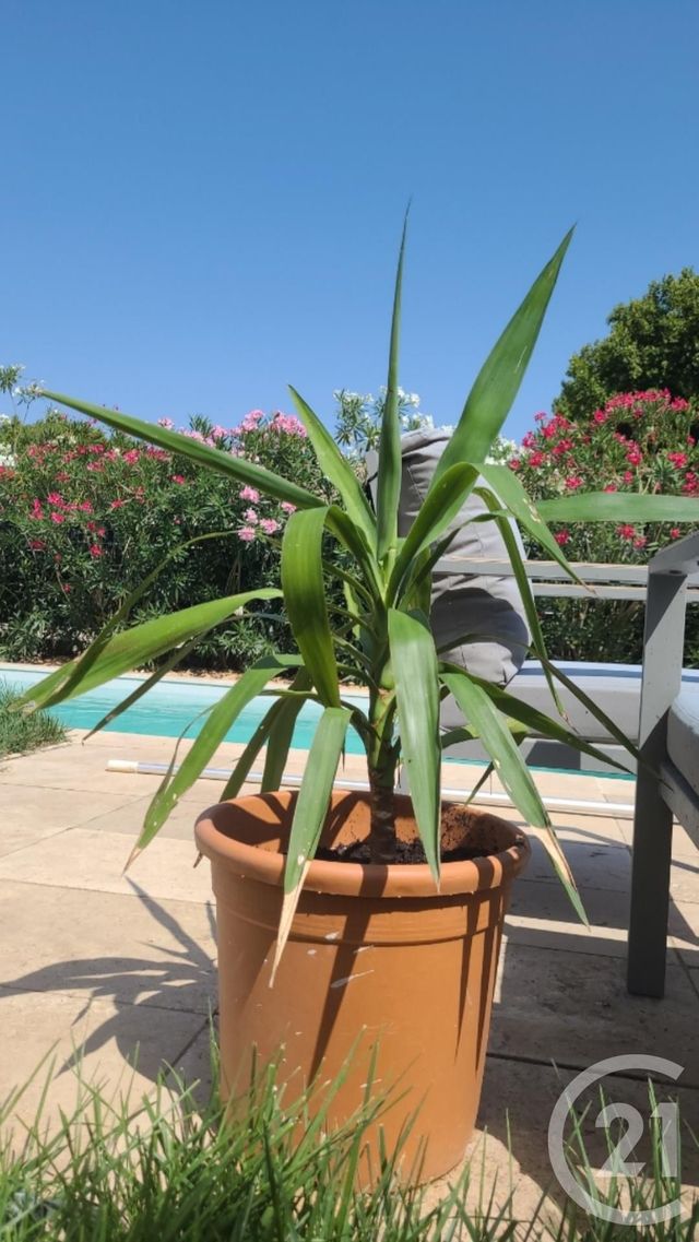 Maison à vendre - 5 pièces - 95 m2 - Raphele Les Arles - 13 - PROVENCE-ALPES-COTE-D-AZUR