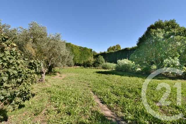 Maison &agrave; vendre - 7 pi&egrave;ces - 162 m2 - Chateaurenard - 13 - PROVENCE-ALPES-COTE-D-AZUR