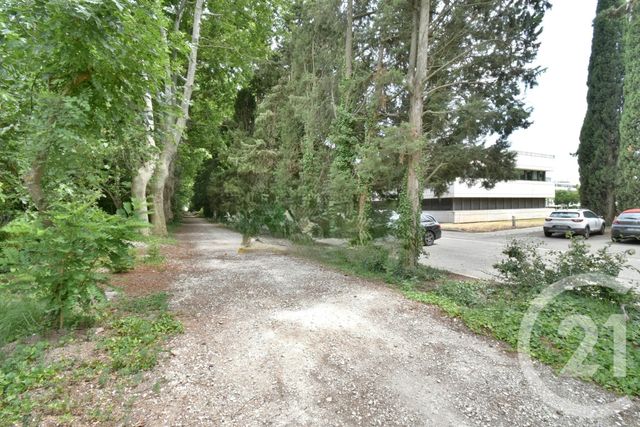 Appartement &agrave; louer - 10 pi&egrave;ces - 272 m2 - Avignon - 84 - PROVENCE-ALPES-COTE-D-AZUR