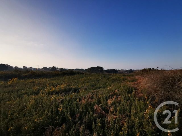 Terrain &agrave; vendre - 822 m2 - Quiberon - 56 - BRETAGNE