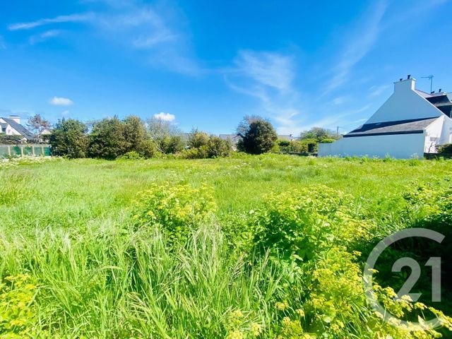 Terrain &agrave; vendre - 994 m2 - Quiberon - 56 - BRETAGNE