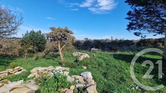 Terrain &agrave; vendre - 995 m2 - Quiberon - 56 - BRETAGNE