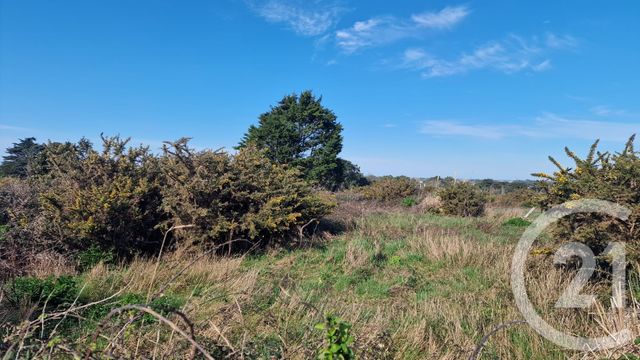Terrain &agrave; vendre - 995 m2 - Quiberon - 56 - BRETAGNE