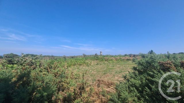 Terrain &agrave; vendre - 995 m2 - Quiberon - 56 - BRETAGNE