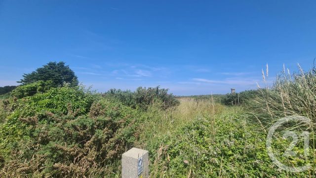 Terrain &agrave; vendre - 995 m2 - Quiberon - 56 - BRETAGNE