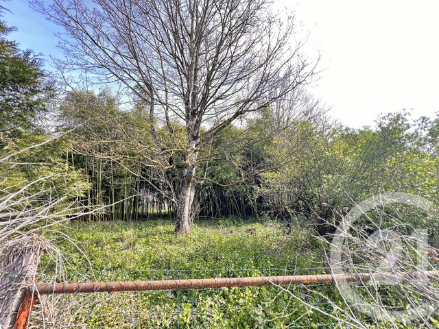 Divers &agrave; vendre - 160 m2 - Ballan Mire - 37 - CENTRE