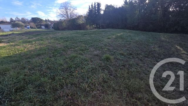 terrain - GRISOLLES - 82