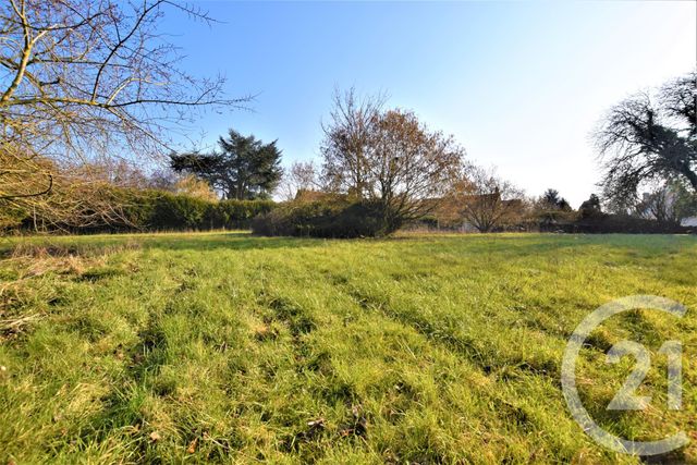 Terrain &agrave; vendre - 926 m2 - Cressonsacq - 60 - PICARDIE