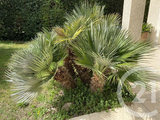 Maison à vendre - 5 pièces - 129,57 m2 - Pezenas - 34 - LANGUEDOC-ROUSSILLON