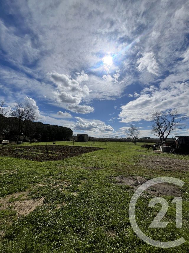 Maison &agrave; vendre - 7 pi&egrave;ces - 640 m2 - Tourbes - 34 - LANGUEDOC-ROUSSILLON