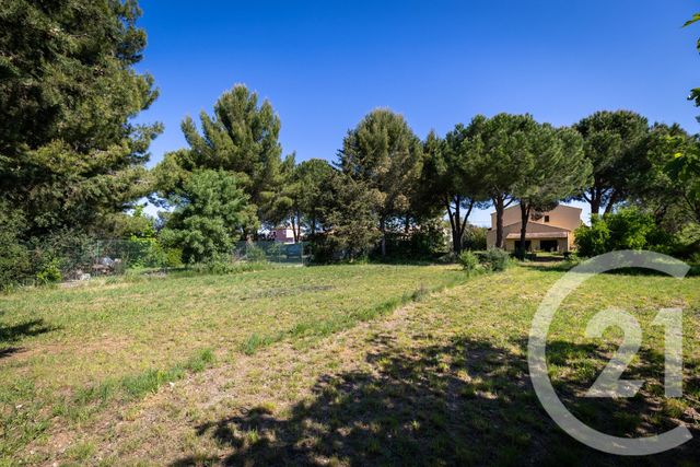 maison - PAULHAN - 34