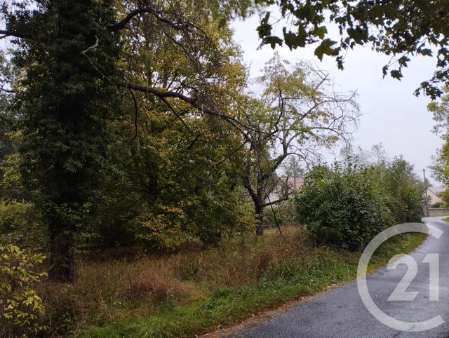 Terrain à vendre - 1178 m2 - Cellettes - 41 - CENTRE