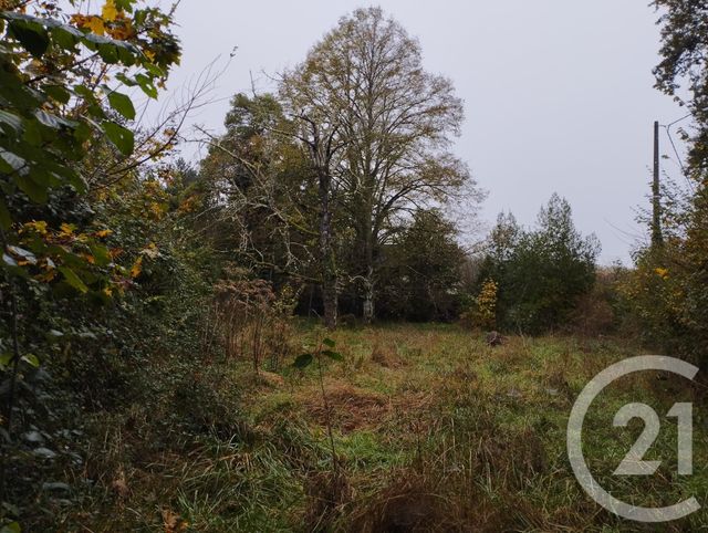 Terrain à vendre - 1178 m2 - Cellettes - 41 - CENTRE