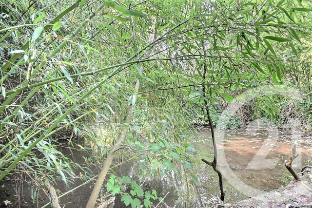 Maison à vendre - 7 pièces - 240 m2 - La Chaussee St Victor - 41 - CENTRE