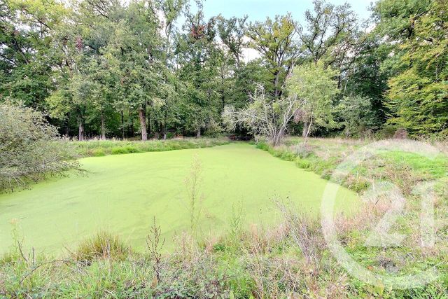 Maison à vendre - 8 pièces - 275,44 m2 - Cour Cheverny - 41 - CENTRE