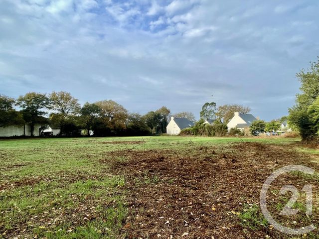 Maison à vendre - 5 pièces - La Trinite Surzur - 56 - BRETAGNE