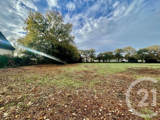 Maison à vendre - 5 pièces - La Trinite Surzur - 56 - BRETAGNE