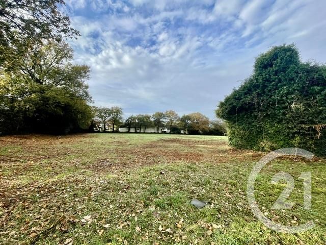 Maison à vendre - 5 pièces - La Trinite Surzur - 56 - BRETAGNE