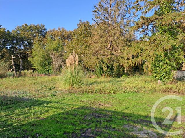Terrain à vendre - 2934 m2 - St Vivien De Medoc - 33 - AQUITAINE