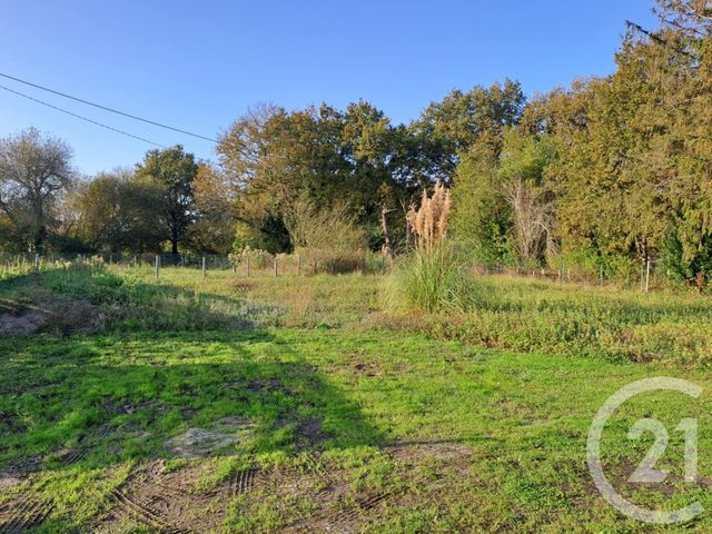 Terrain à vendre - 2934 m2 - St Vivien De Medoc - 33 - AQUITAINE