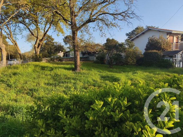 Terrain &agrave; vendre - 540 m2 - Soulac Sur Mer - 33 - AQUITAINE