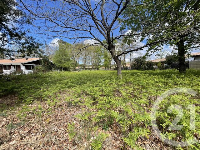 Terrain à vendre - 989 m2 - Hourtin - 33 - AQUITAINE