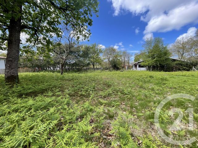 terrain - HOURTIN - 33