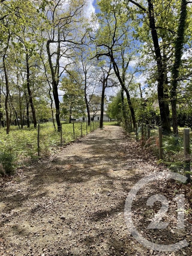 Terrain à vendre - 989 m2 - Hourtin - 33 - AQUITAINE