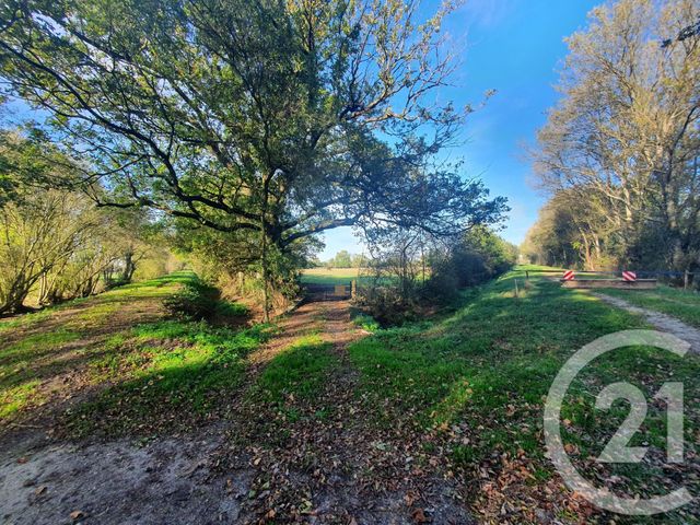 Terrain à vendre - 104684 m2 - Lesparre Medoc - 33 - AQUITAINE