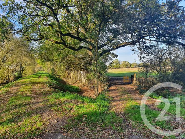 Terrain à vendre - 104684 m2 - Lesparre Medoc - 33 - AQUITAINE