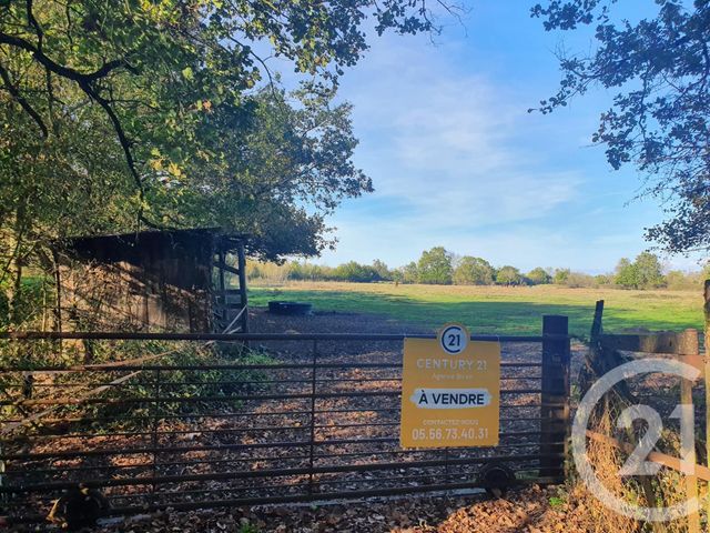 Terrain à vendre - 104684 m2 - Lesparre Medoc - 33 - AQUITAINE