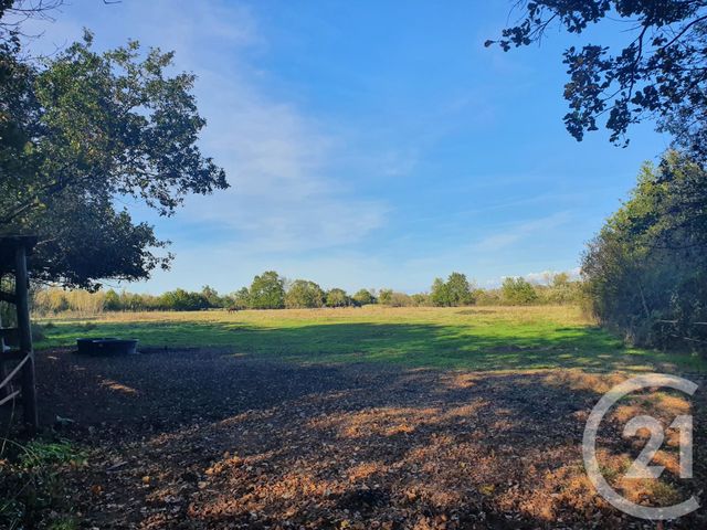 terrain - LESPARRE MEDOC - 33