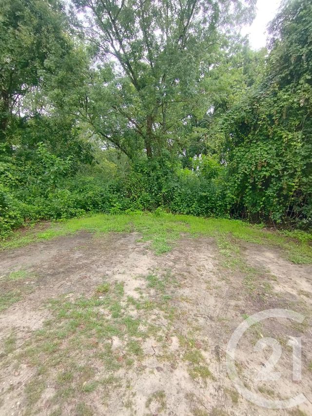 terrain - QUEYRAC - 33