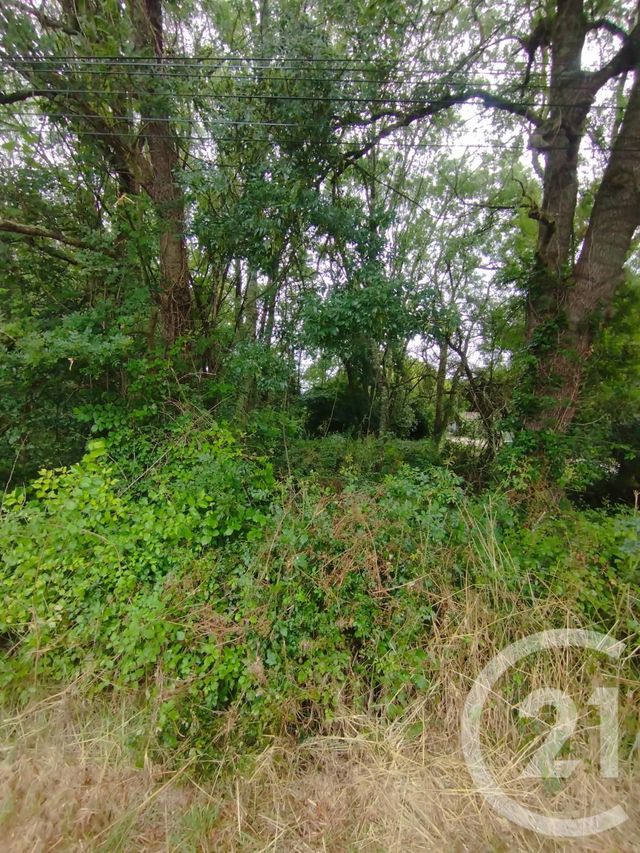 Terrain à vendre - 2147 m2 - Queyrac - 33 - AQUITAINE