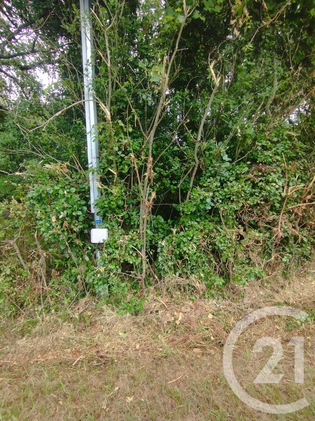 Terrain à vendre - 2147 m2 - Queyrac - 33 - AQUITAINE