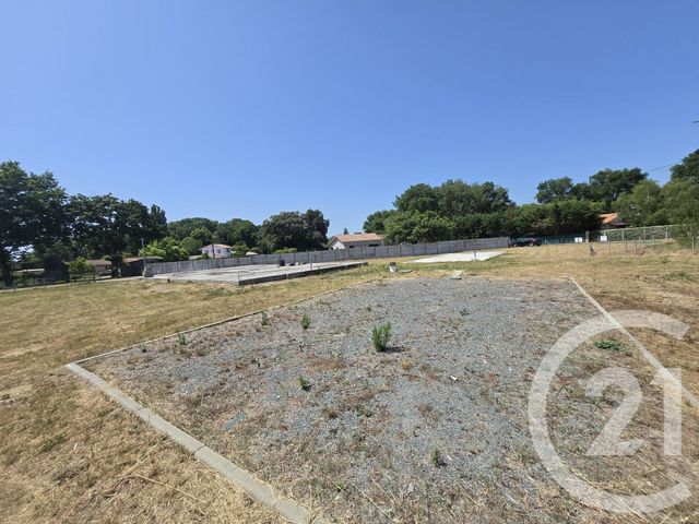 Terrain à vendre - 3612 m2 - Queyrac - 33 - AQUITAINE
