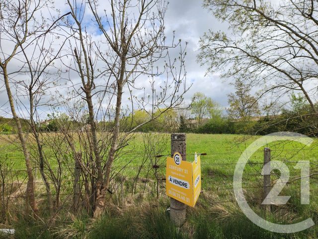 Terrain &agrave; vendre - 1013 m2 - Lesparre Medoc - 33 - AQUITAINE