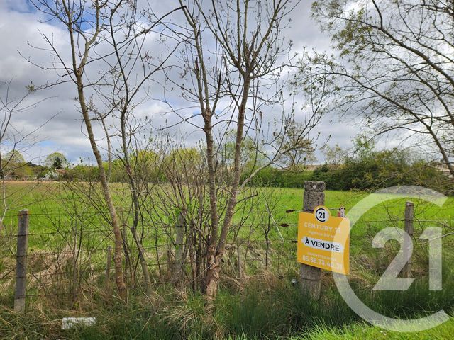 Terrain &agrave; vendre - 1235 m2 - Lesparre Medoc - 33 - AQUITAINE
