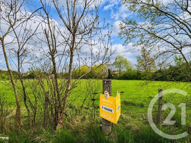 Terrain &agrave; vendre - 1235 m2 - Lesparre Medoc - 33 - AQUITAINE